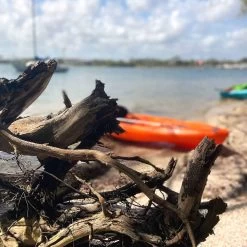 Pelican Sport Pulse 100X With Paddle Kayak -Kayak Series Shop KOS10P102 00 LS4